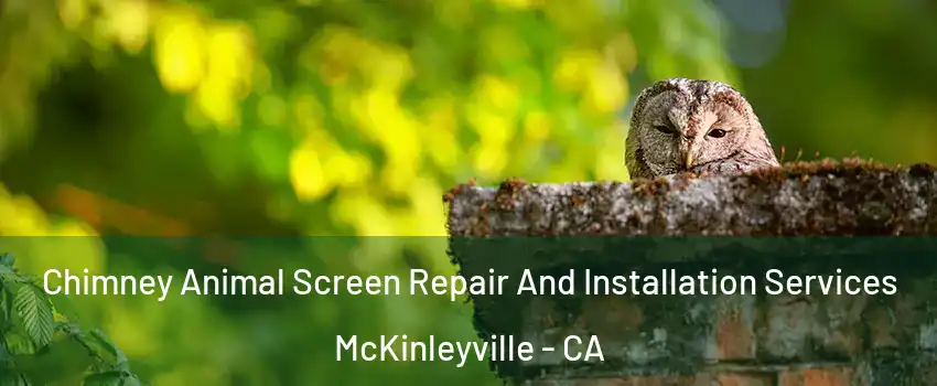  Chimney Animal Screen Repair And Installation Services McKinleyville - CA