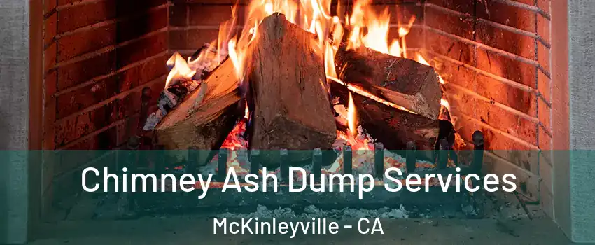  Chimney Ash Dump Services McKinleyville - CA