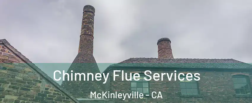  Chimney Flue Services McKinleyville - CA