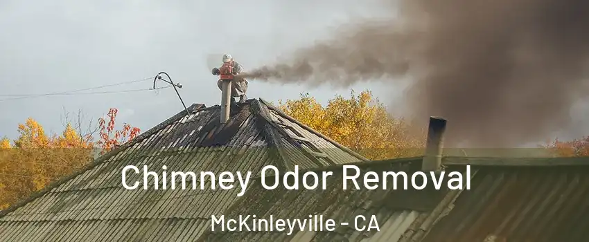  Chimney Odor Removal McKinleyville - CA