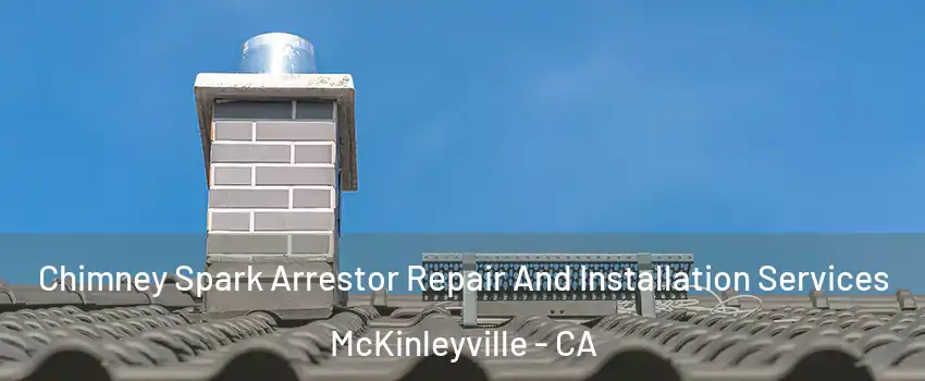  Chimney Spark Arrestor Repair And Installation Services McKinleyville - CA