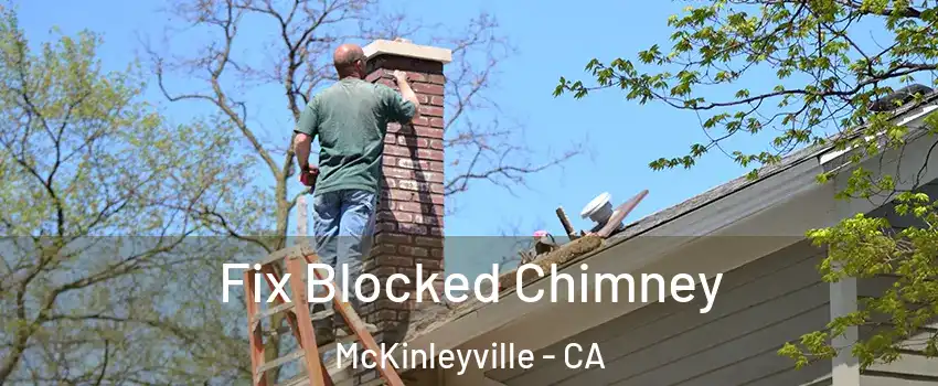  Fix Blocked Chimney McKinleyville - CA