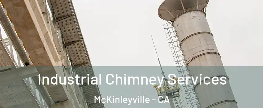  Industrial Chimney Services McKinleyville - CA