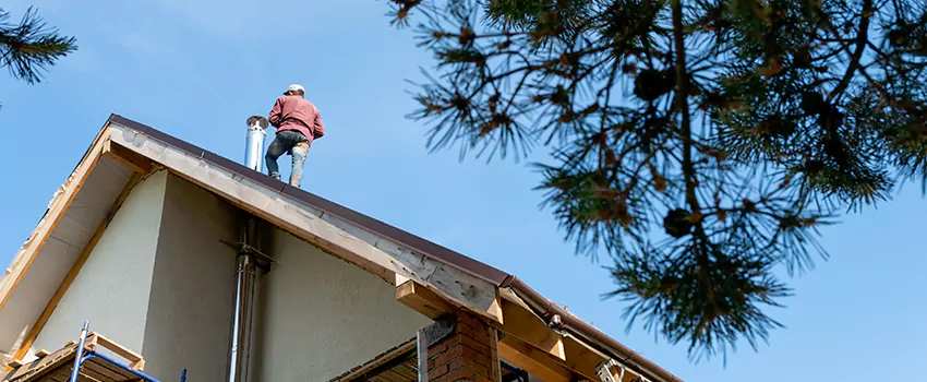 Birds Removal Contractors from Chimney in McKinleyville, CA