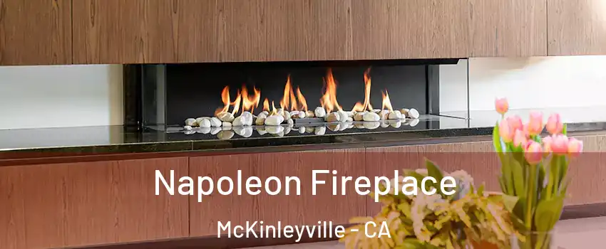  Napoleon Fireplace McKinleyville - CA