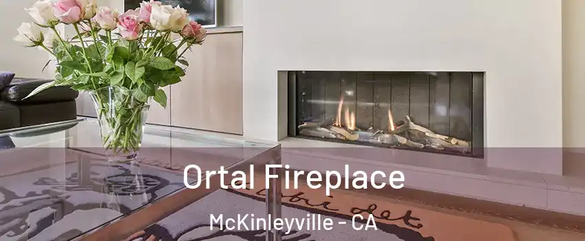  Ortal Fireplace McKinleyville - CA